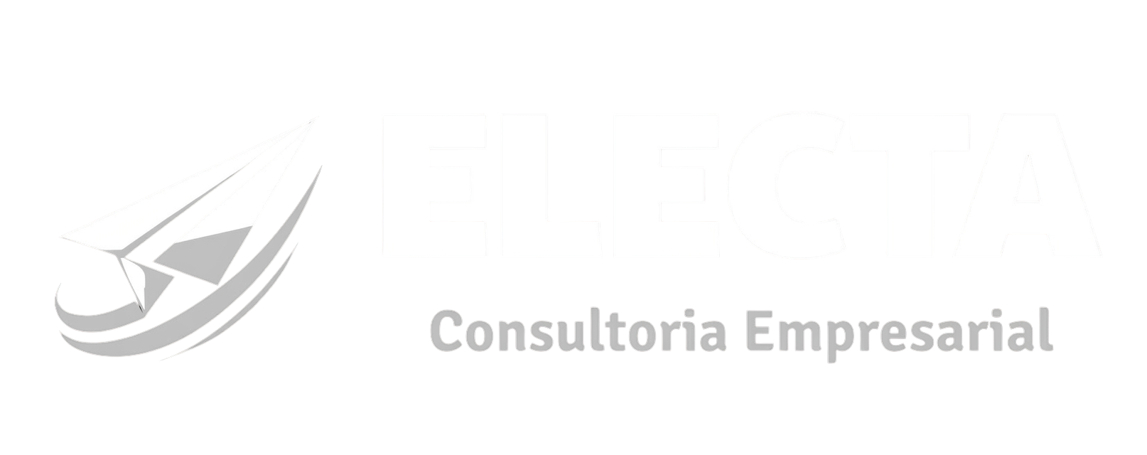 Electa Consultoria Empresarial